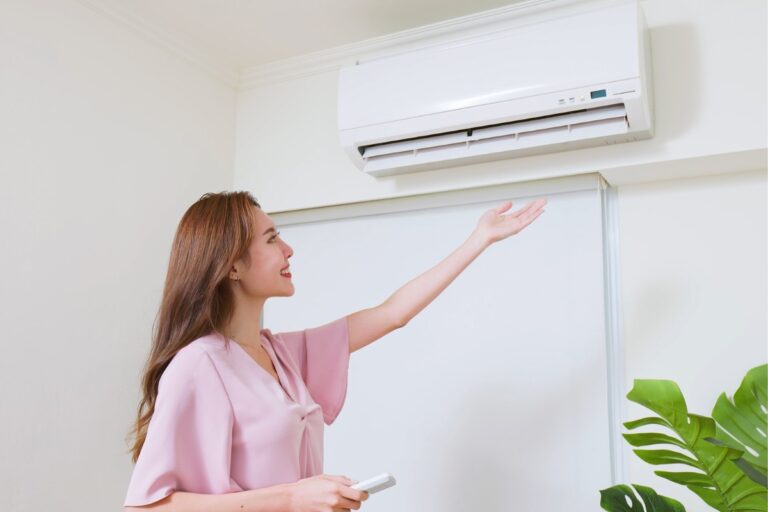 best 1-ton ac in India 2024
